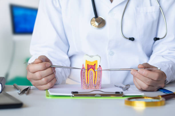 Best Emergency Treatment for Dental Infections or Abscesses in Lochmoor Waterway Estates, FL